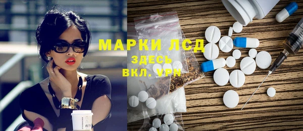 индика Гусев