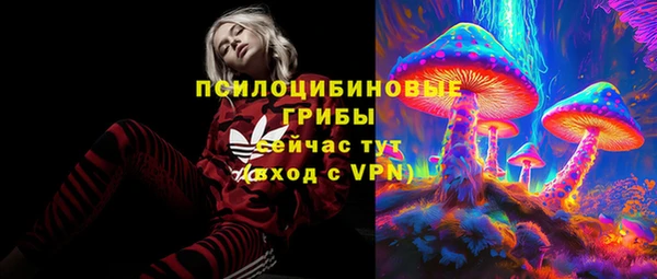 стафф Касимов